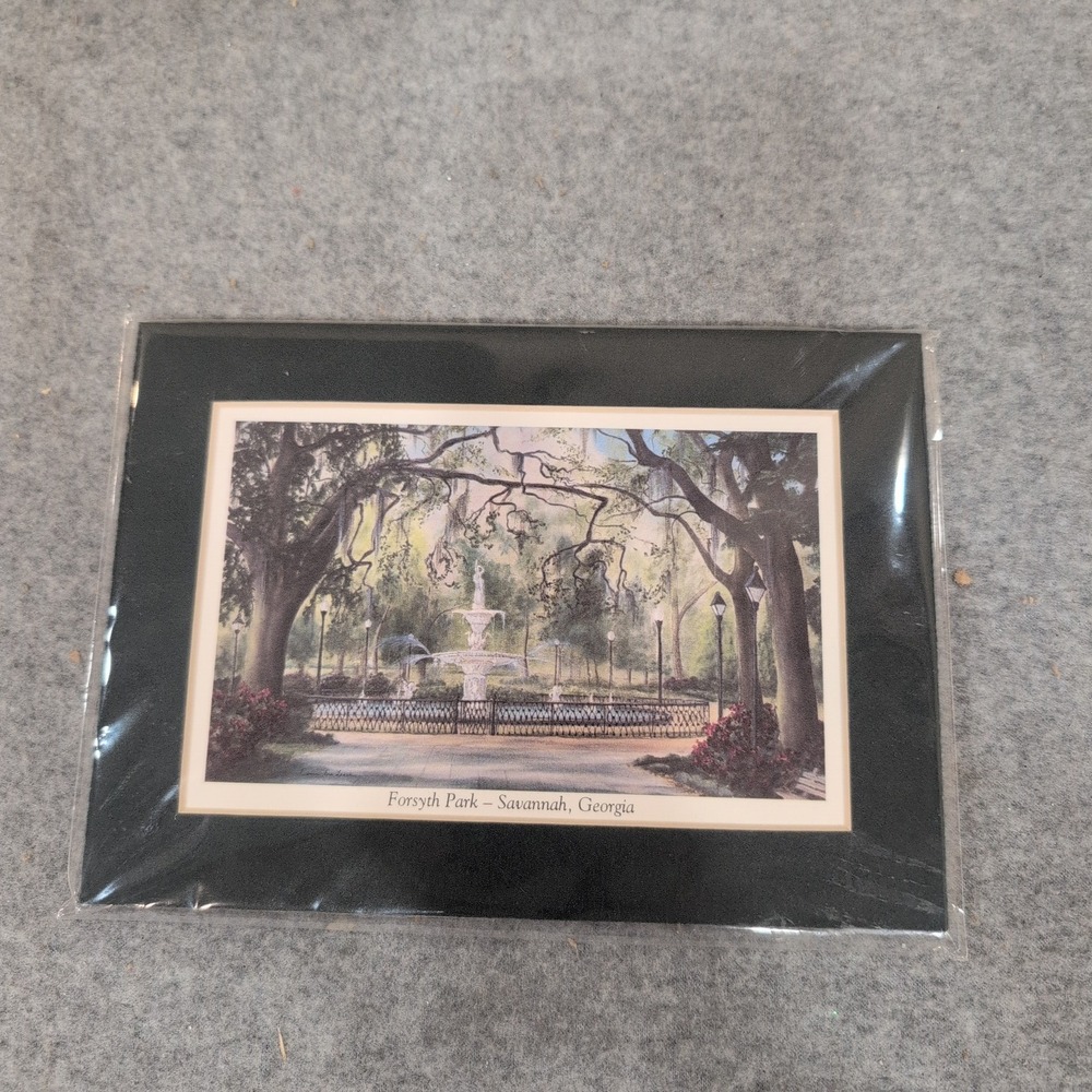 Essie DeLoach Forsyth Park Savannah Georgia Matted Art Print Fountain Scene - Picture 1 of 4